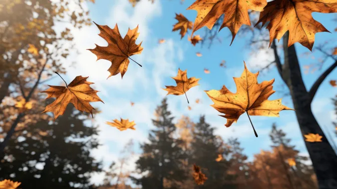 🍂На Волинь завітала метеорологічна осінь