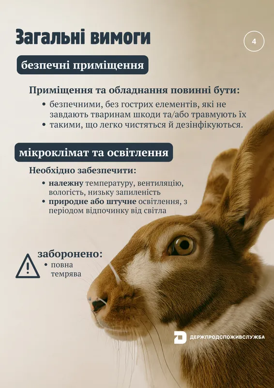 В Україні з 1 січня діятимуть євровимоги до утримання сільськогосподарських тварин