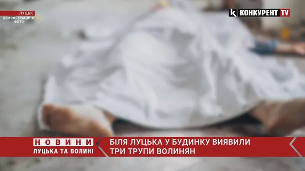 У селі під Луцьком сусіди знайшли мертвими трьох людей (відео)