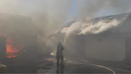 Вогонь охопив дві будівлі: у Луцькому районі гасили масштабну пожежу (фото)