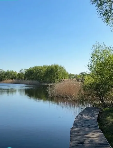 У Сваловичах головна водойма – це річка Прип’ять