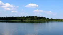 На Волині перевірили озеро Велике Чорне: що показали аналізи води (фото)