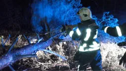 На Волині на дорогу пориви вітру повалили дерево – викликали рятувальників (фото)