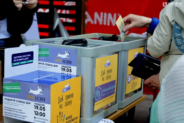 #мокріносики: у луцькому «Промені» песикам шукають хороших власників (фото)