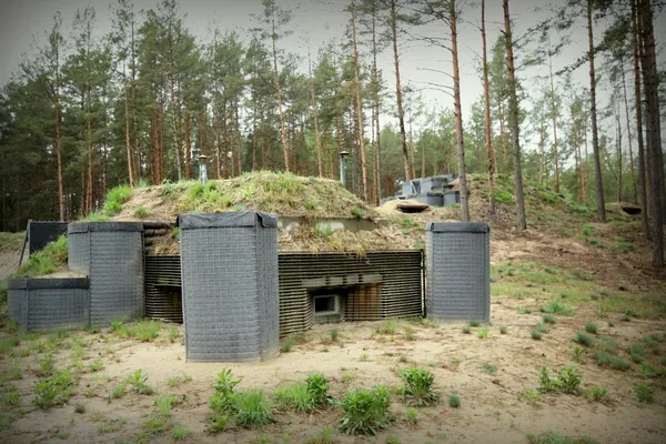 Мінні поля та непрохідні болота: що відбувається на кордоні з Білоруссю (фото)