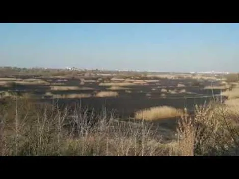 Показали наслідки пожежі в луцькому заказнику (відео)
