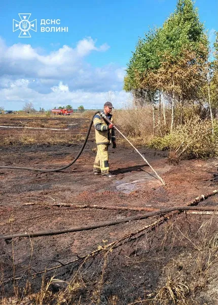 На Волині рятувальники другу добу гасять пожежу торфу (фото)