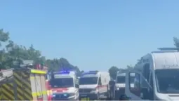 З'їхалось багато медиків та поліціянтів: на волинській трасі – ДТП (відео)