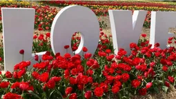 Гоу по світлини: у «Волинській Голландії» облаштували крутезні фотозони (фото)