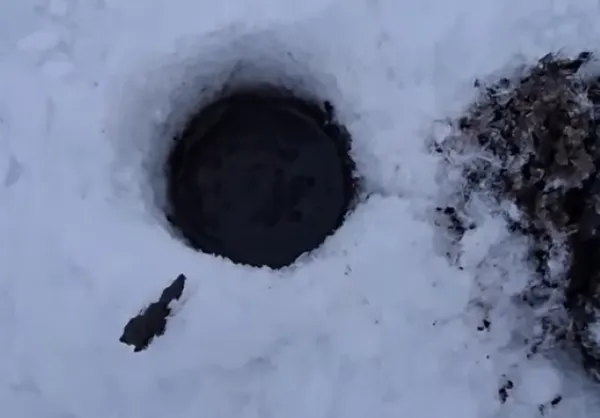 Крига скувала до самого дна: у ставку біля Луцька загинула вся риба (фото, відео)
