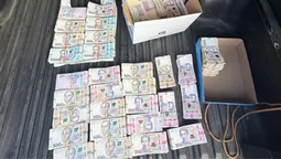 На Рівненщині керівника держлісгоспу затримали на хабарі у 3 млн грн (фото)