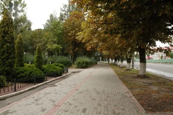 Інший погляд: назвали переваги й недоліки Луцька (фото) 