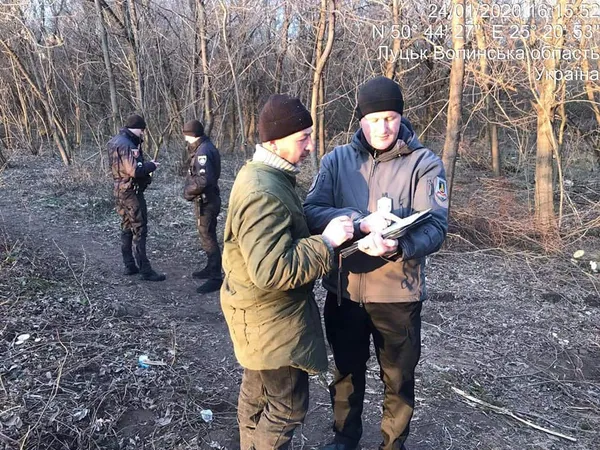 У Луцьку без дозволу зрізали 30 дерев на вулиці Глушець (фото)
