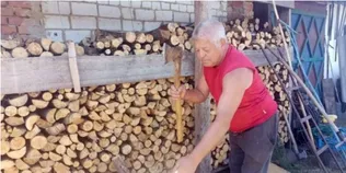 Дуже дорого: скільки коштують дрова на Волині (фото, відео)