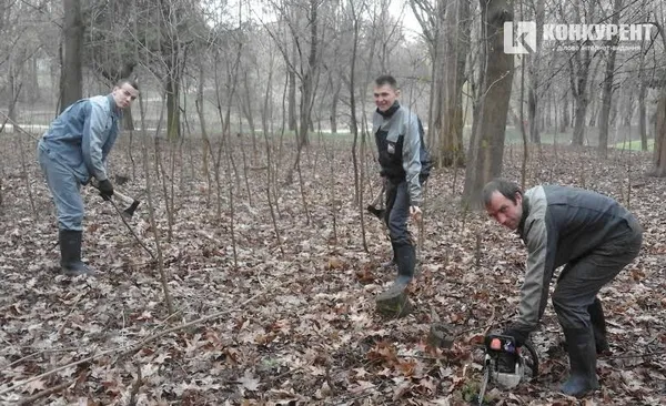 Представники топ-підприємств Волині почали прибирати луцький парк