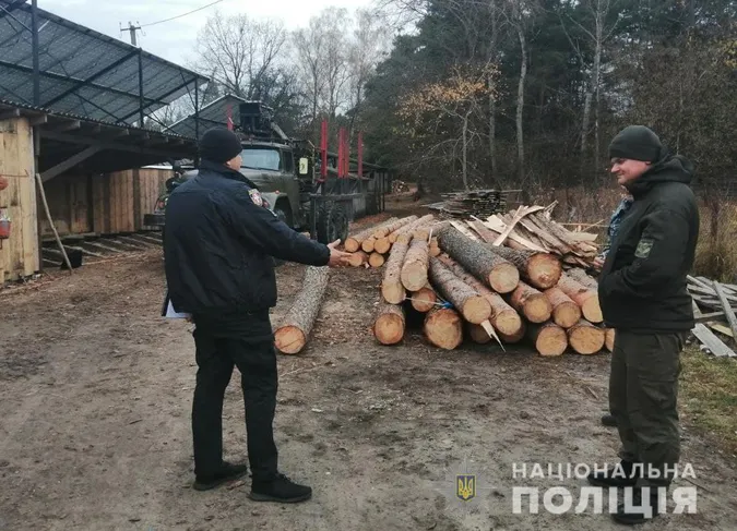На Ковельщині поліцейські виявили «ліву» деревину (фото)
