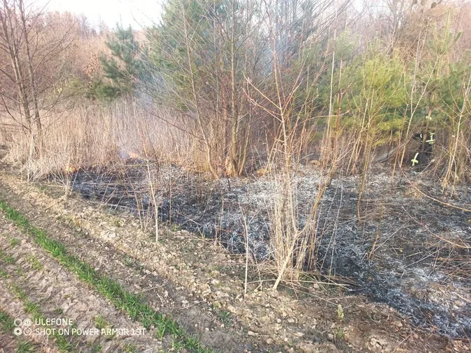 Вигоріло близько 10 гектарів: у Луцькому районі зайнялася пожежа поблизу болота (фото)