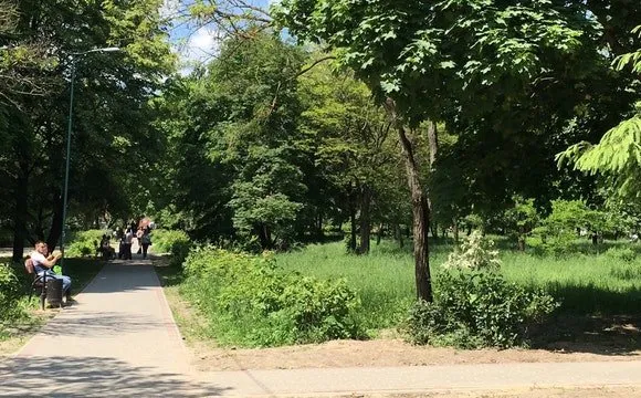 Сквер за ВНУ у Луцьку скоро може змінитися: що там коїться