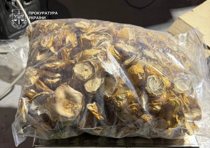 На Волині викрили схему продажу харчових добавок із вмістом наркотиків на 430 мільйонів гривень (фото)