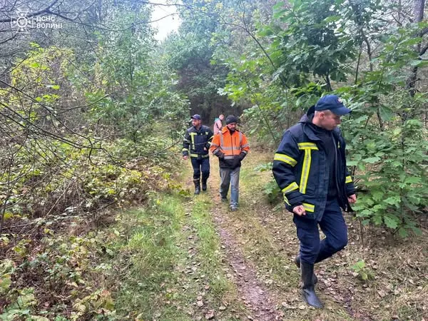 Зник у лісі: на Волині другу добу шукають 76-річного грибника (фото)
