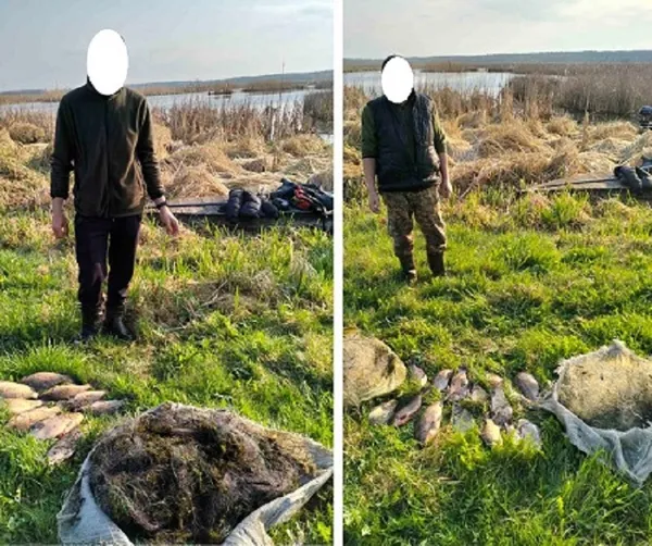 На Волині браконьєри натягали сітками карасів на понад 36 тисяч гривень