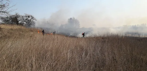 На Волині за минулу добу погасили 20 пожеж (фото)