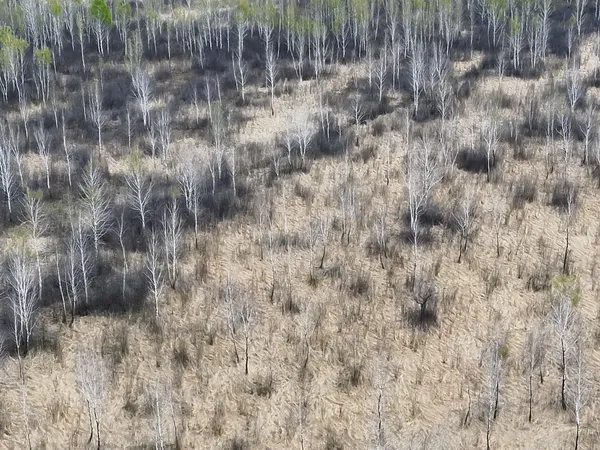 На Волині дослідили урочище у Шацькому національному парку (фото)