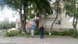 Луцькі муніципали склали протокол на "естетів"-порушників (фото)