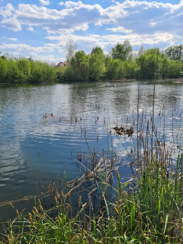 Синьо, зелено і тихо: весна на Теремнівських ставках (фото)