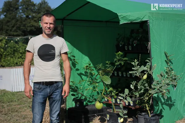 Осіння «Волинська Голландія»: що і за скільки можна купити (фото)