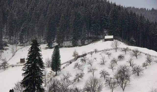 Фотограф-мандрівник з Луцька показав красу Карпат (фотозвіт)
