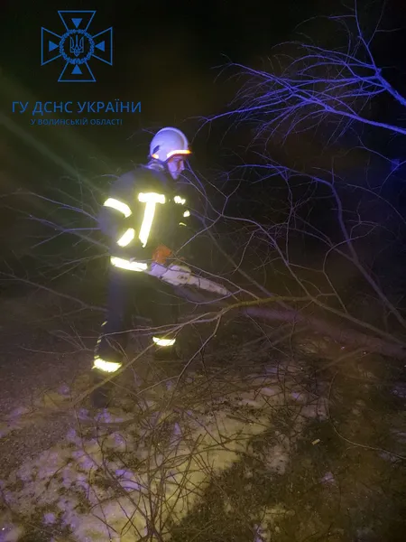 На Ковельщині дерево впало на дорогу й перекрило рух транспорту (фото)