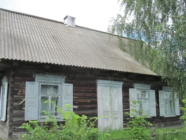 Село на краю світу: де на Поліссі ще можна побачити життя, як 200 років тому (фото)