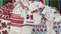 «Хмелик», «цимбали» і «звізди»: як вишивали на Волині (фото)