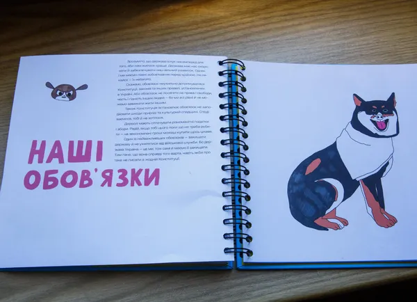 В Україні з’явилася Конституція для дітей (фото)