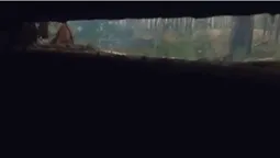 Відео «без купюр»: бій воїнів 100-ї бригади ТрО неподалік Кремінної зняли на GoPro (відео)