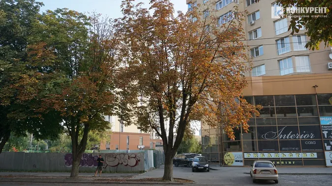 Квіти, песики, каштани: Дубнівська у Луцьку восени (фото)
