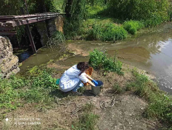 Назвали причину загибелі риби на Кічкарівських ставках (фото)