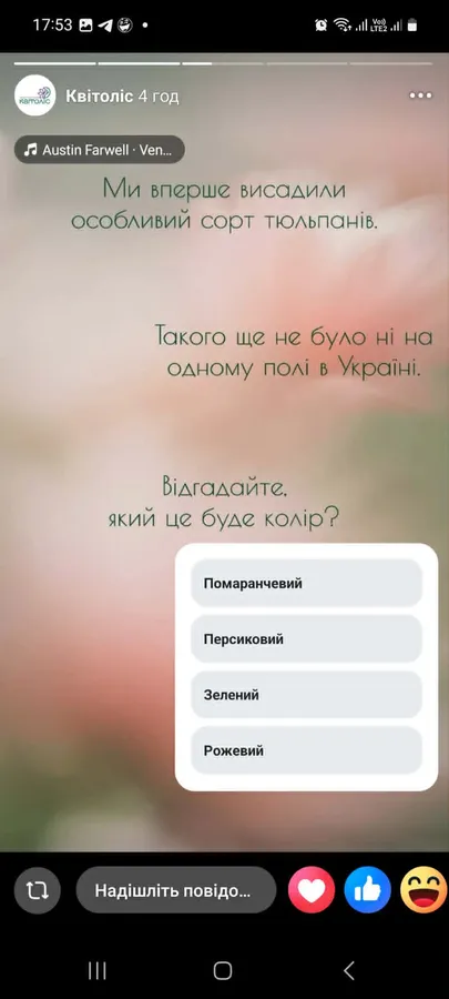 Вперше в Україні: на фестивалі тюльпанів на Волині презентують екзотичний сорт