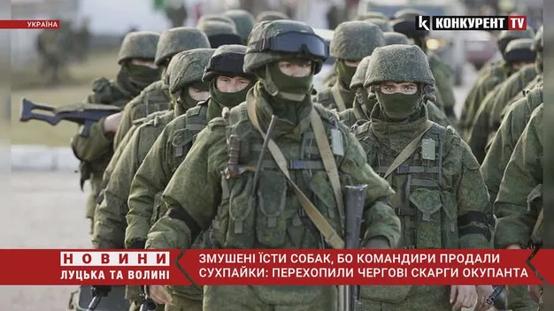Окупанти жеруть собак, бо командири продали їхні сухпайки (перехоплена розмова)