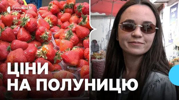 У Луцьку ціни на полуницю б'ють по гаманцях: скільки коштує кілограм ягід (фото, відео)