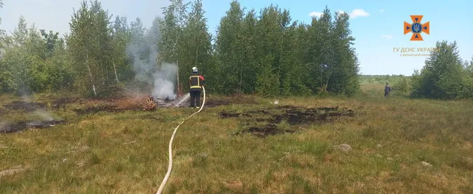 Горіли поля: волинські рятувальники погасили 5 пожеж за день (фото)