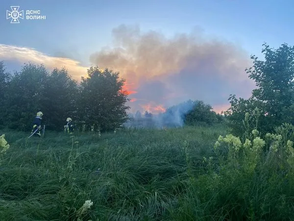 Біля Луцька горіли два гектари трави (фото, оновлено)
