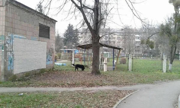 Луцьких комунальників змусили прибрати за собою (фото)