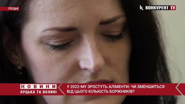 Аліменти зросли: чи стане на Волині більше боржників (відео)