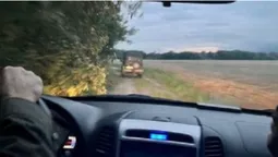 У лісі на Волині забили самця козулі (фото)