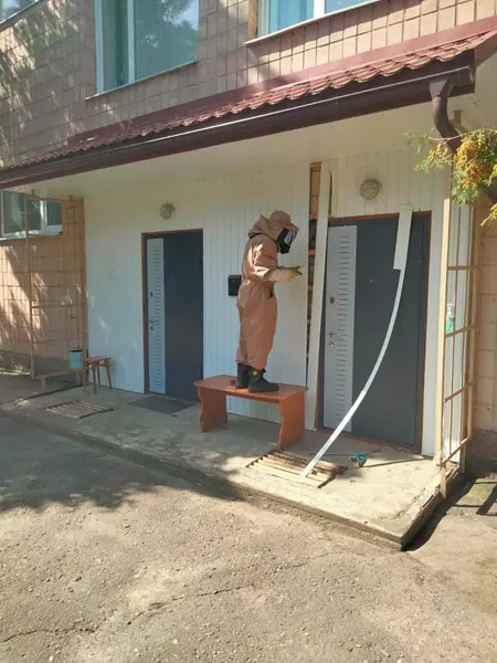 У Луцьку восьмеро рятувальників знешкоджували осині гнізда (фото)