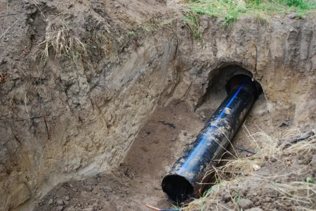 «Ковбасні» підприємства не причетні до смороду в Луцьку