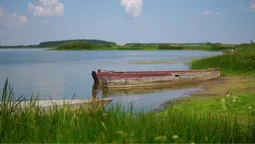 Аж подих захоплює: про Волинь зняли атмосферне кіно (відео)