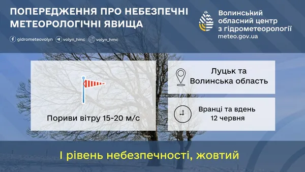Пориви вітру до 15-20 м/с: на Волині вируватиме негода